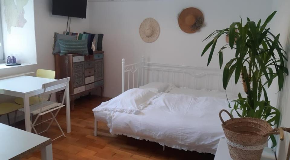 Apartmán Little Garden Piran Exteriér fotografie