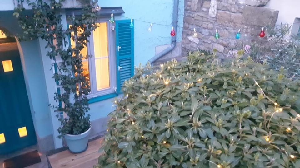 Apartmán Little Garden Piran Exteriér fotografie