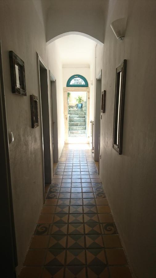 Apartmán Little Garden Piran Exteriér fotografie